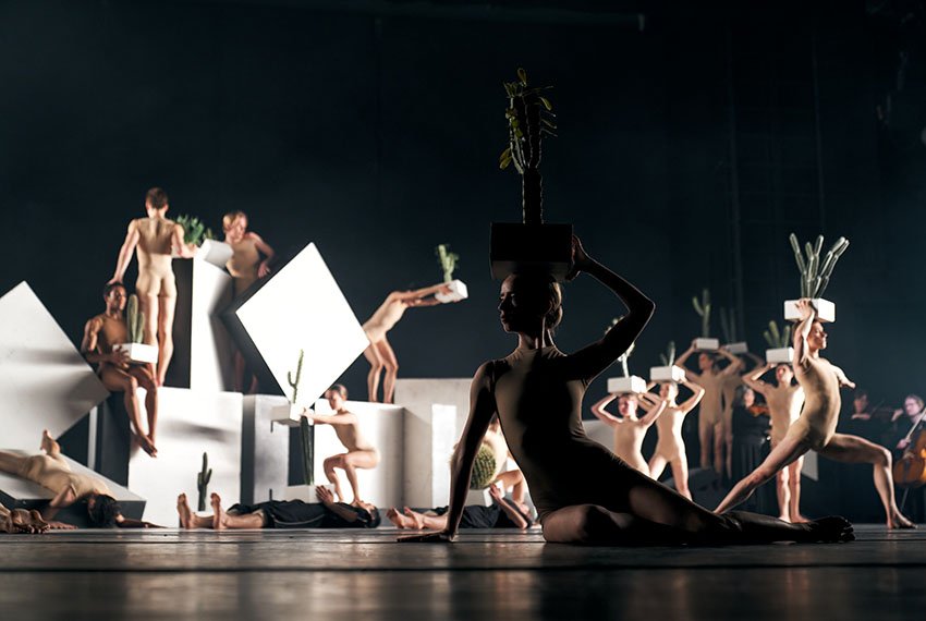 Cacti, Kungliga Baletten 2023. Foto: Kungliga Operan/Nils Emil Nylander